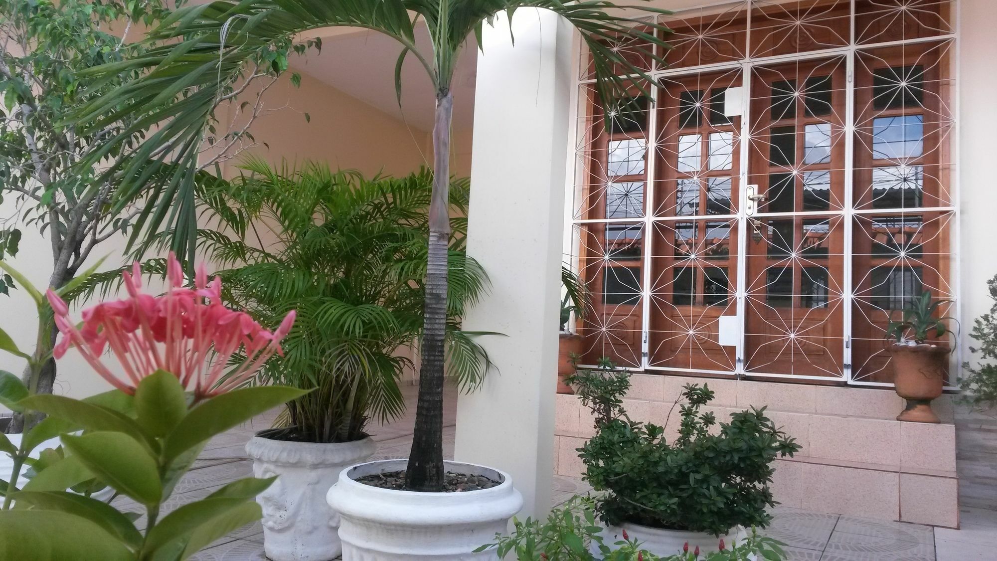 Each Hostel Da Amazonia Манаус Экстерьер фото